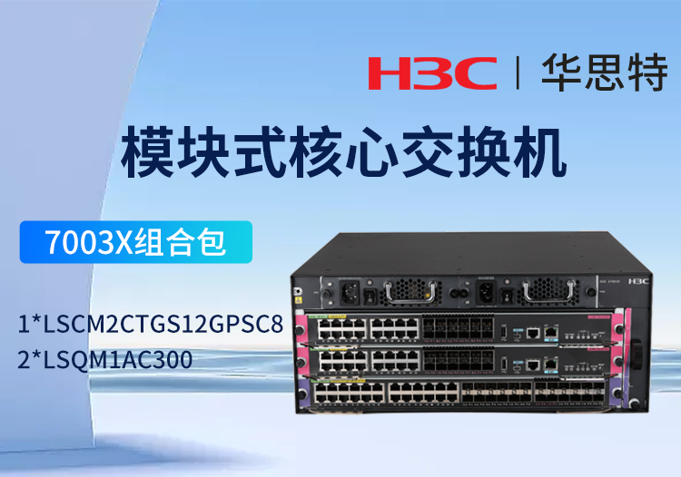 H3C S7003X交換機(jī)套包 16端口千兆SFP光接口+12端口萬(wàn)兆光接口 交換路由引擎模塊LSCM2CTGS12GPSC8