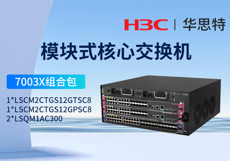 華三H3C S7003X 16千兆光口+16千兆電口套包 LS-7003X多業(yè)務(wù)企業(yè)級網(wǎng)絡(luò)核心路由交換機 標(biāo)準(zhǔn)版光電組合套裝